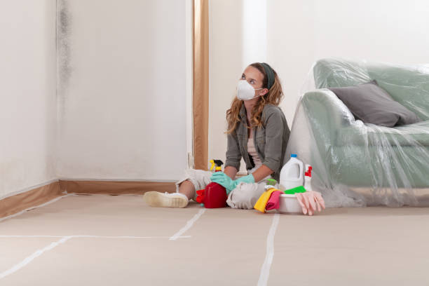 Reliable Mold Remediation contractor in Savage, MD by WQB Mold Removal